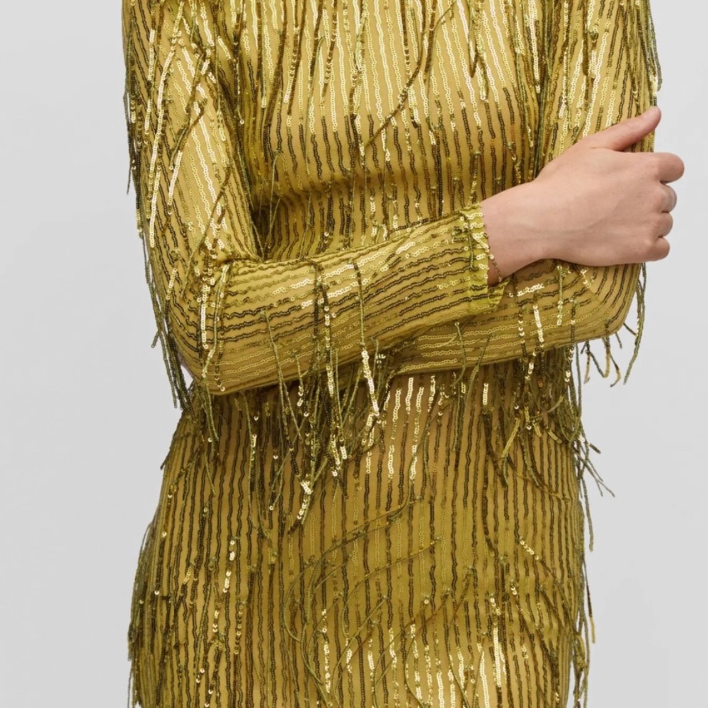 Mango Brand Size 10 Sequin Midi Dress